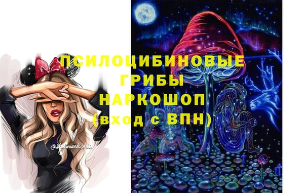 стафф Михайлов