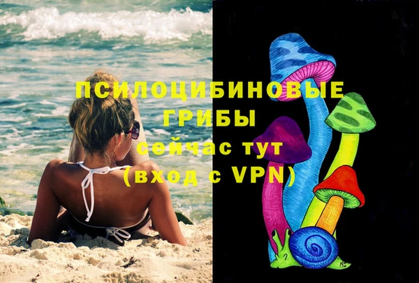 стафф Михайлов