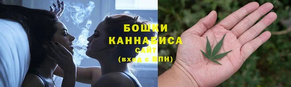 стафф Михайлов