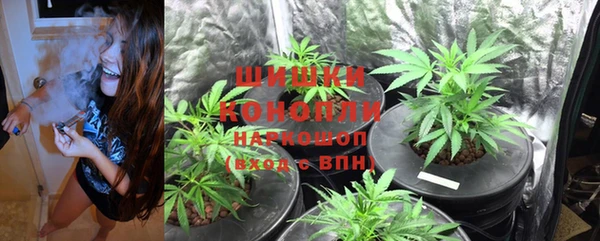 стафф Михайлов