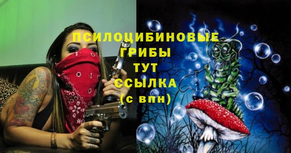 ALPHA PVP Михайловск
