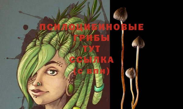 мдма Вязьма