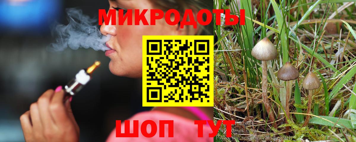 Псилоцибиновые грибы Cubensis Воткинск