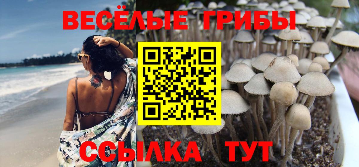 Псилоцибиновые грибы Psilocybine cubensis Воткинск