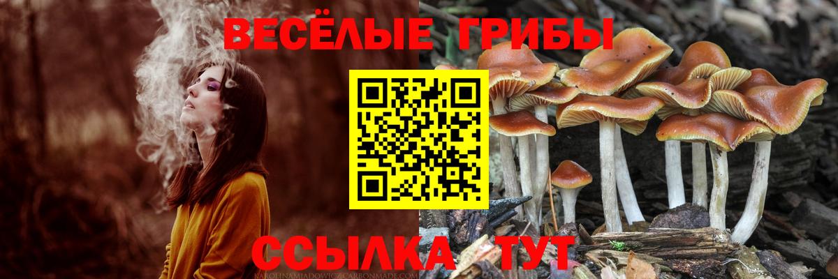 где можно купить наркотик  Псилоцибиновые грибы мухоморы  Вход с VPN  Галлюциногенные грибы мухоморы  Воткинск 